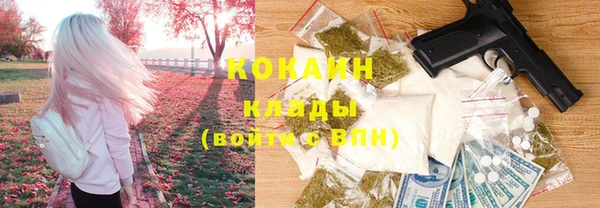 соль ск Алзамай