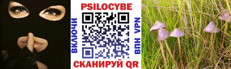 Галлюциногенные грибы Cubensis  купить  цена  Менделеевск 