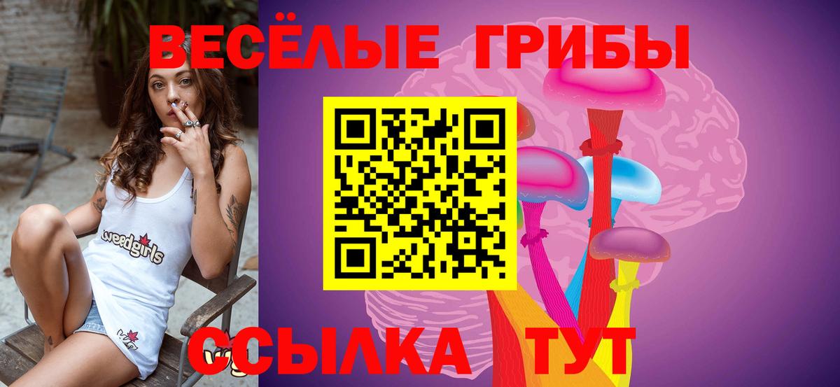 Псилоцибиновые грибы прущие грибы  Вход с VPN  Менделеевск  Галлюциногенные грибы мухоморы 