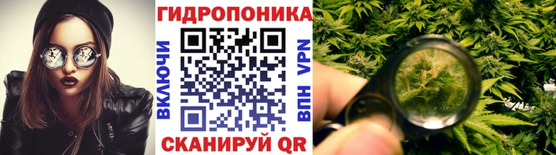 Канабис конопля  хочу   Менделеевск 